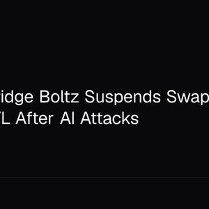 Bitcoin Bridge Boltz Suspends Swaps With $262K TVL After AI Attacks