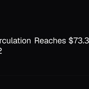 USDC Circulation Reaches $73.3B in Circle Q2