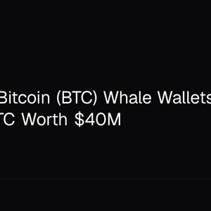 Dormant Bitcoin (BTC) Whale Wallets Move 553.59 BTC Worth $40M