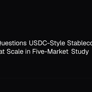 BIS Chief Questions USDC-Style Stablecoins for Payments at Scale in Five-Market Study
