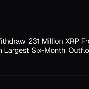 Whales Withdraw 231 Million XRP From Binance in Largest Six-Month Outflow