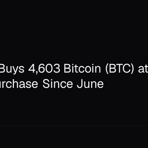 Strategy Buys 4,603 Bitcoin (BTC) at $80,318 in First Purchase Since June