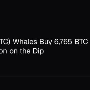 Bitcoin (BTC) Whales Buy 6,765 BTC Worth $521 Million on the Dip