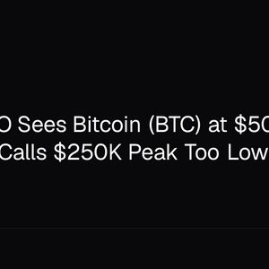 Strive CEO Sees Bitcoin (BTC) at $500K–$1M by 2030, Calls $250K Peak Too Low