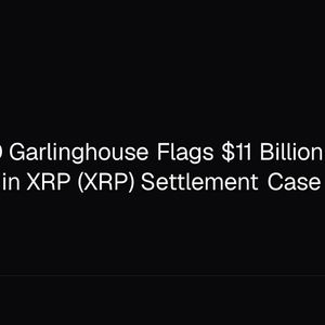 Ripple CEO Garlinghouse Flags $11 Billion Dutch Gold Move in XRP (XRP) Settlement Case