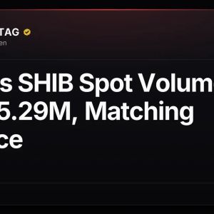 Upbit's SHIB Spot Volume Hits $5.29M, Matching Binance