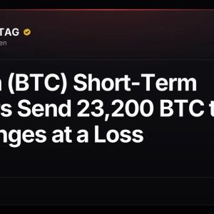 Bitcoin (BTC) Short-Term Holders Send 23,200 BTC to Exchanges at a Loss