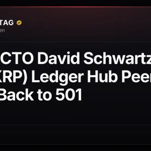 Ripple CTO David Schwartz Says XRP (XRP) Ledger Hub Peers Climb Back to 501
