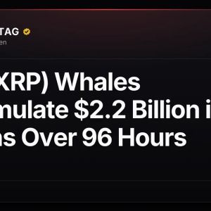 XRP (XRP) Whales Accumulate $2.2 Billion in Tokens Over 96 Hours