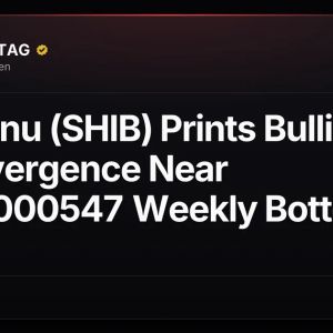 Shiba Inu (SHIB) Prints Bullish RSI Divergence Near $0.00000547 Weekly Bottom