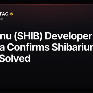 Shiba Inu (SHIB) Developer Kaal Dhairya Confirms Shibarium Reorg Solved