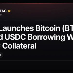 Circle Launches Bitcoin (BTC)-Backed USDC Borrowing With 1:1 cirBTC Collateral