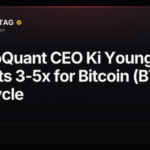 CryptoQuant CEO Ki Young Ju Predicts 3-5x for Bitcoin (BTC) Bull Cycle