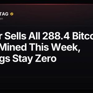 Bitdeer Sells All 288.4 Bitcoin (BTC) Mined This Week, Holdings Stay Zero