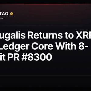 Nik Bougalis Returns to XRP (XRP) Ledger Core With 8-Commit PR #8300