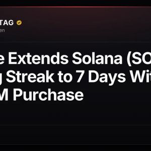 Bitwise Extends Solana (SOL) Buying Streak to 7 Days With $9.65M Purchase