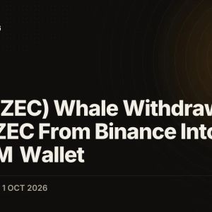 Zcash (ZEC) Whale Withdraws 2,000 ZEC From Binance Into $66.19M Wallet