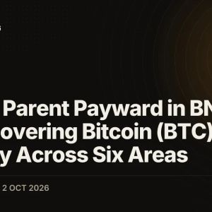 Kraken Parent Payward in BNY Talks Covering Bitcoin (BTC) Custody Across Six Areas