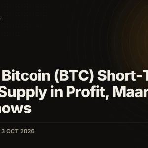 92% of Bitcoin (BTC) Short-Term Holder Supply in Profit, Maartunn Data Shows