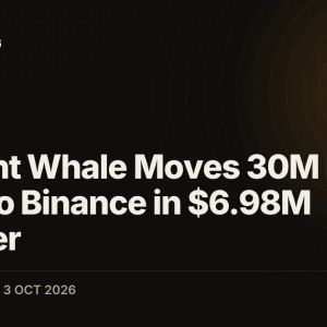 Dormant Whale Moves 30M Ethena (ENA) to Binance in $6.98M Transfer