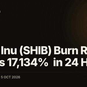 Shiba Inu (SHIB) Burn Rate Jumps 17,134% in 24 Hours