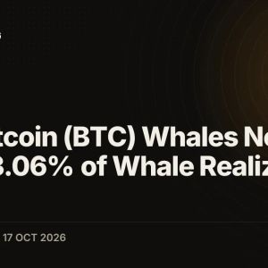 New Bitcoin (BTC) Whales Now Hold 33.06% of Whale Realized Capital