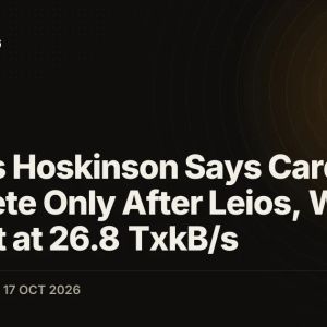 Charles Hoskinson Says Cardano Is Complete Only After Leios, With Testnet at 26.8 TxkB/s