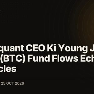 Cryptoquant CEO Ki Young Ju Says Bitcoin (BTC) Fund Flows Echo Past Bull Cycles