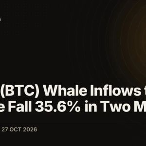 Bitcoin (BTC) Whale Inflows to Binance Fall 35.6% in Two Months