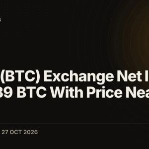 Bitcoin (BTC) Exchange Net Inflows Hit 6,639 BTC With Price Near $80K