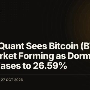 CryptoQuant Sees Bitcoin (BTC) Bull Market Forming as Dormant Share Eases to 26.59%