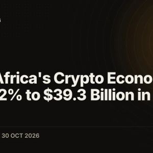 South Africa's Crypto Economy Grew 52% to $39.3 Billion in a Bear Market