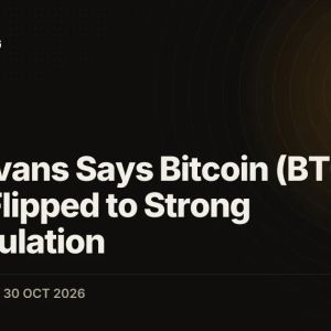 Tyler Evans Says Bitcoin (BTC) ETF Flows Flipped to Strong Accumulation