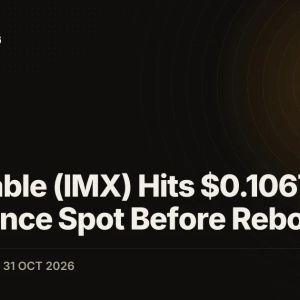 Immutable (IMX) Hits $0.1067 Low on Binance Spot Before Rebound