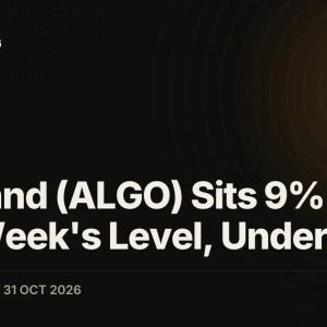 Algorand (ALGO) Sits 9% Below Last Week's Level, Under $0.10