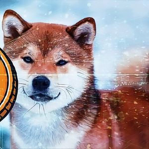 Shiba Inu’s Layer-2 Scaling Solution, Shibarium Beta, Reaches 32 Million Transactions