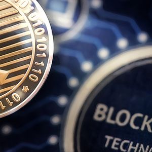 Attention to Litecoin: Significant Increase in Investor Interest and Trading Volume