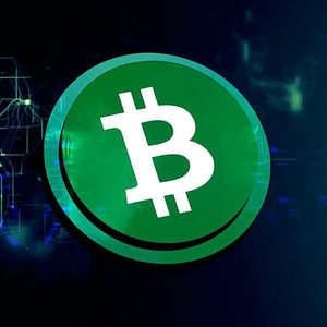 Bitcoin Cash (BCH) Miners and Whales Take a Bearish Position