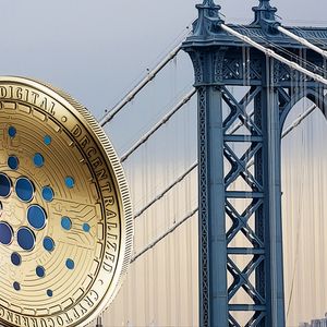 Cardano Price Drops While Whales Accumulate ADA Tokens Worth $45 Million