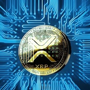 XRP Shows Signs of Recovery Despite Recent Downtrend