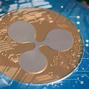 Ripple Sees Significant Increase in Metrics and Development Activities