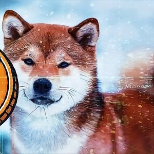 Shiba Inu: Analyzing the Graph and Market Value