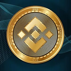 Binance Makes Investments in Altcoins: Which Ones and Why?