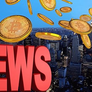 Bitcoin Price Surges Despite Bear Market: What the Data Shows