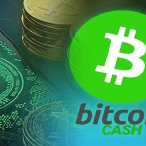 How to Buy Bitcoin Cash?