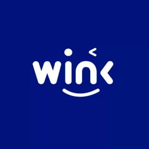 What is WINk Coin?