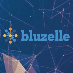What is Bluzelle Coin?