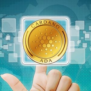 Cardano Sees Surge in On-Chain Activity as Price Rises