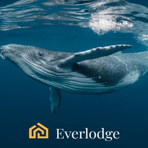 ChatGPT Explains Why Binance (BNB), Ripple (XRP), and Everlodge (ELDG) Are Crypto Whales Favorites