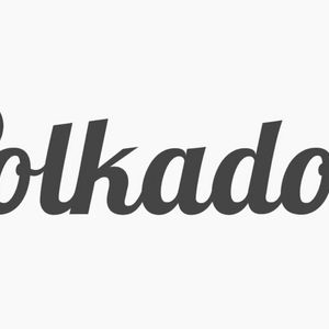 What is Polkadot Coin?
